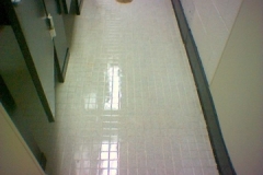 College Dorm Restroom 2 ceramic tile NC