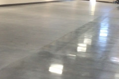 concretpolish3
