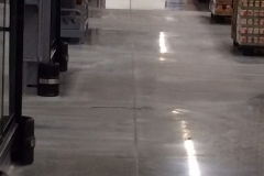 concretpolish4