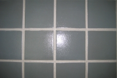 Morgan Elementary GrouTanium