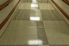 Erlanger VCT 3 burnish system 1